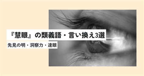 真理眼|慧眼 の内容・解説 